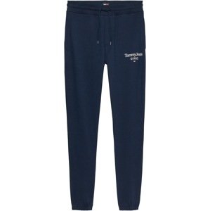 Tommy Jeans Plus Nohavice  námornícka modrá / biela