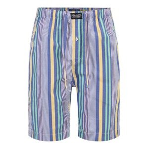 Polo Ralph Lauren Pyžamové nohavice  modrá / žltá / zelená / ružová