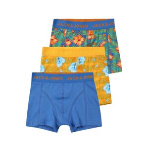 Jack & Jones Junior Nohavičky 'HAWAII'  modrá / žltá / zelená / oranžová