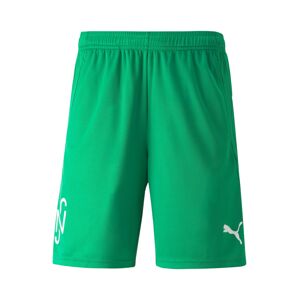 PUMA Športové nohavice 'Neymar'  zelená / biela