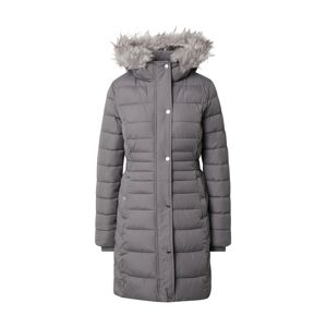 HOLLISTER Zimný kabát 'Core'  sivá