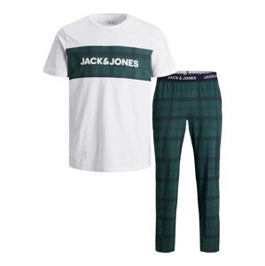JACK & JONES Dlhé pyžamo 'Train'  námornícka modrá / zelená / biela