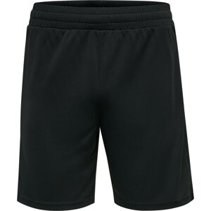 Hummel Športové nohavice 'Topaz'  čierna / biela