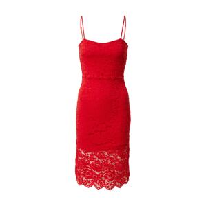 Femme Luxe Kokteilové šaty 'CATALINA'  červená