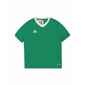 ADIDAS PERFORMANCE Funkčné tričko  trávovo zelená / biela