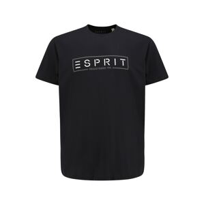 Esprit Big Size Tričko  čierna / biela