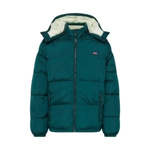LEVI'S Zimná bunda 'Fillmore'  smaragdová / svetlozelená