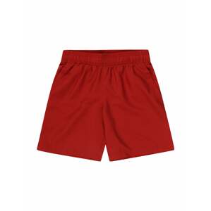 UNDER ARMOUR Športové nohavice  červená / svetločervená