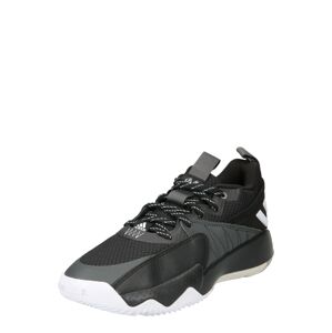 ADIDAS PERFORMANCE Športová obuv 'Extply 2.0'  čierna / biela