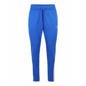 UNDER ARMOUR Športové nohavice  kráľovská modrá / biela