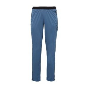 ADIDAS TERREX Športové nohavice 'Xperior'  modrá / čierna