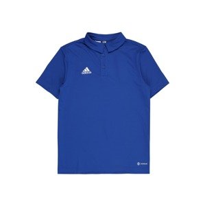 ADIDAS PERFORMANCE Funkčné tričko 'Entrada 22'  kráľovská modrá / biela