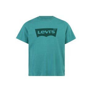 Levi's® Big & Tall Tričko  nefritová / jedľová