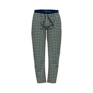 TOM TAILOR Pyžamové nohavice  modrá / zelená / biela