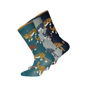 EWERS Ponožky  tmavomodrá / svetlohnedá / sivá / nefritová / zmiešané farby