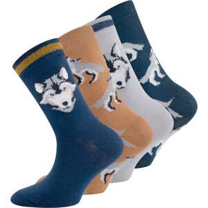EWERS Ponožky  béžová / tmavomodrá / svetlosivá