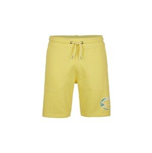 O'NEILL Športové nohavice  žltá / petrolejová / biela