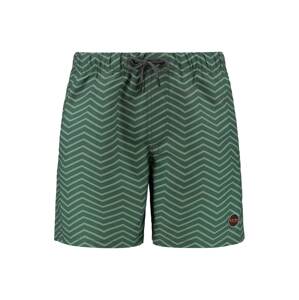 Shiwi Plavecké šortky  zelená / svetlozelená