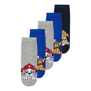NAME IT Ponožky 'OTRICK PAW PATROL'  modrá / svetlosivá / zmiešané farby
